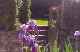 Casa Vacanze MODENA - Foto 28