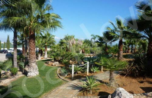 Boa Nova 301 - Foto 15