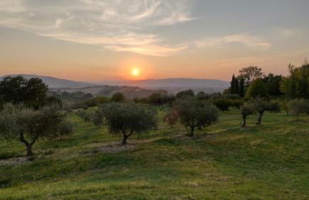 La Maggiolina Country House - Foto 54