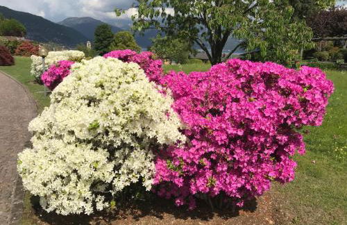 Le Betulle - Foto 57