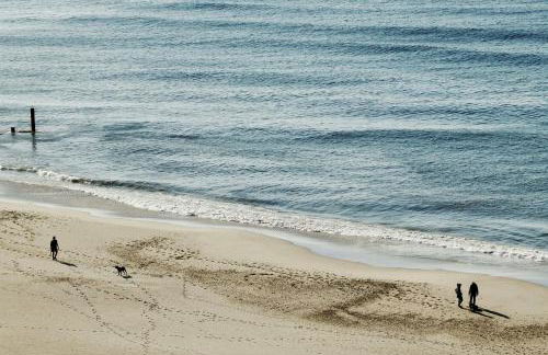 Foxglove Lodge - Photo 31