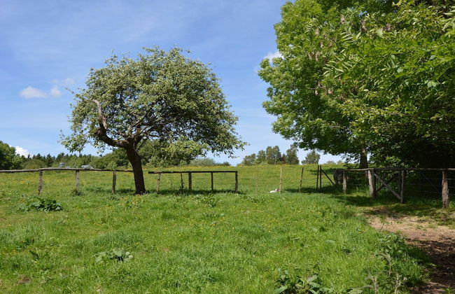 Peaceful Retreat in Ferrieres - Photo 23