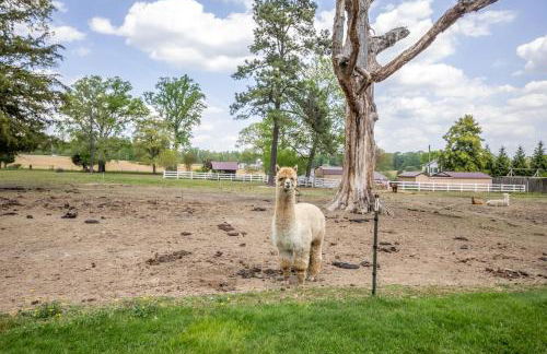 Watch Deer from a Farm Cottage - Foto 32