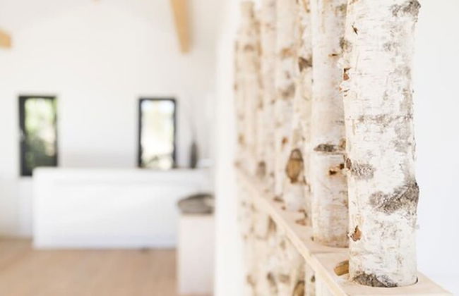 Schweizerhaus Alpirsbach - Foto 47