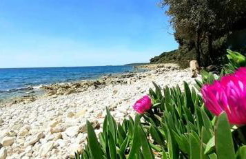 Apartment Histria - Photo 27