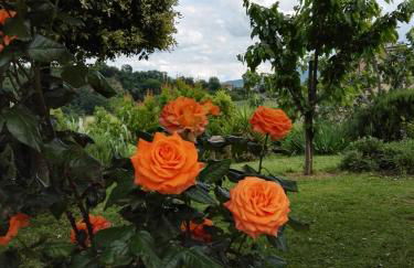 Madonna della Rosa - Foto 11