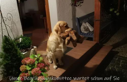 Beste Zeit Ferienwohnung - Foto 9