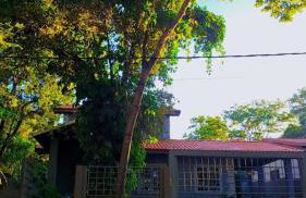 Casa em Bonito aconchego da natureza - Foto 12