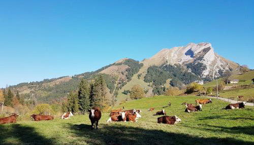 Chalet des joux - Foto 3