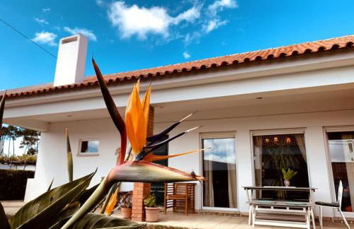 Charming House in SINTRA with Private Pool - Photo 12