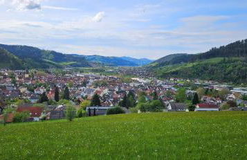 Sandhaasenblick - Foto 11