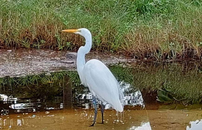 Excursión a Playa Escondida - Foto 5