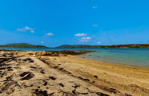 The Birdhouse of Maine - Foto 23