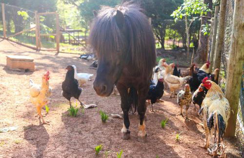 Pousada e Restaurante Victórios - Photo 16