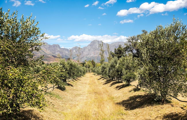 Village Lodge Paarl - Photo 32