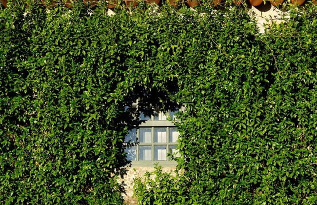 Cozy Mansion in Ponte de Lima With Pool - Foto 26