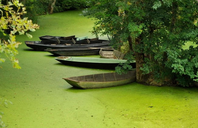 Gite in Etretat Near Cliffs & Beach - Foto 39