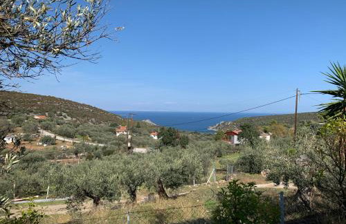 Olive Hill Private House - Foto 41