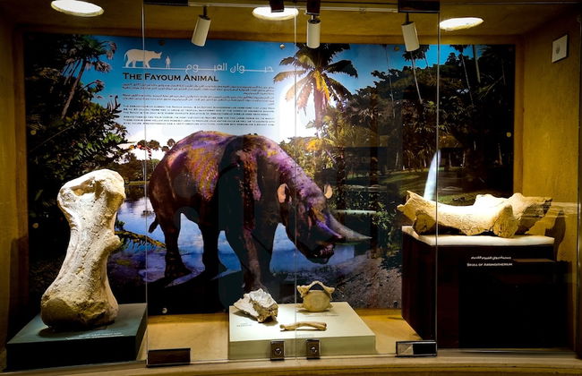 Remarkable 2-bed Apartment in Cairo Nasr City - Foto 39