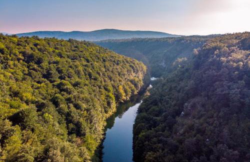 Tree Elements treehouse retreat - Foto 27