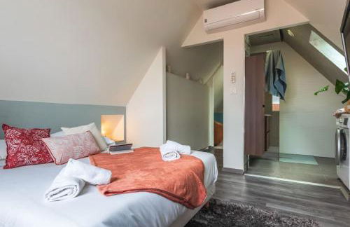 Nouveau - Le Patio - A 20 min de Europa Park - Navette - Photo 16