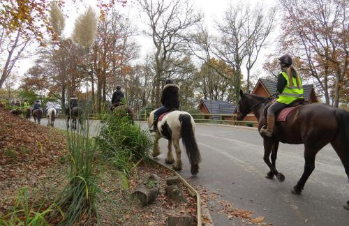 Acorn Lodge for Six with Hot Tub - Devon - Foto 46