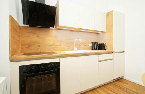 Halle Suites by FullHouse - free parking & WiFi - Foto 40