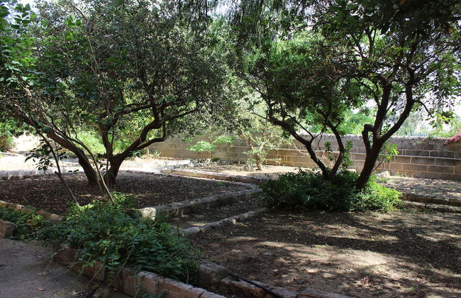 Appartamento Immerso nel Verde - Foto 15