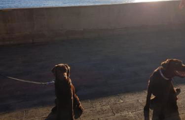 Mansion Almond - SEA, SUN and a charming refuge! - Photo 77