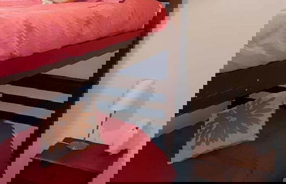 Departamento Reñaca Park - Photo 2