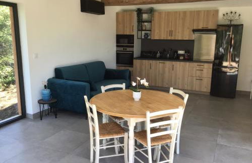 Avignon : Le Mas Cott, le paradis dans la nature - Foto 16