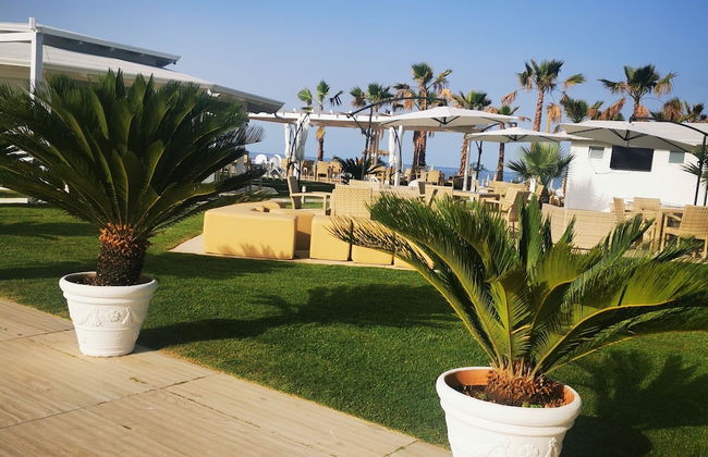 1-bed Apartment in Marina di Santa Maria del Cedro - Foto 1