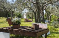 La Casa Tra Gli Ulivi - Foto 22