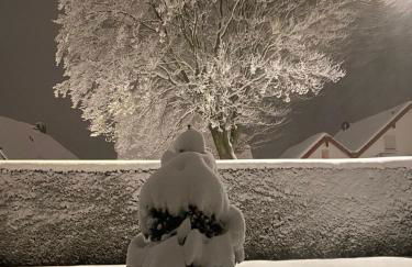 wunderschöne "Ferienwohnung-Simmerath de" Eifel NordEifel Nationalpark - Photo 32