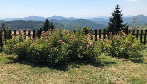 Casa Rural Mollo, Vall de Camprodon - Foto 4