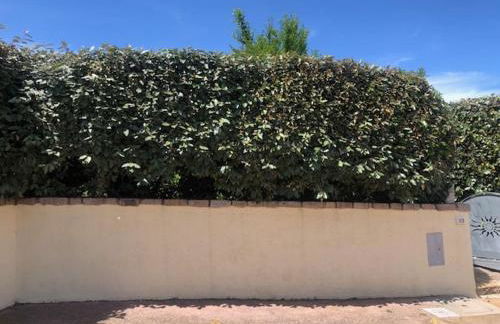 Villa stupenda vista mare SANTA TERESA GALLURA Localita Conca Verde via ulisse 37 - Photo 36