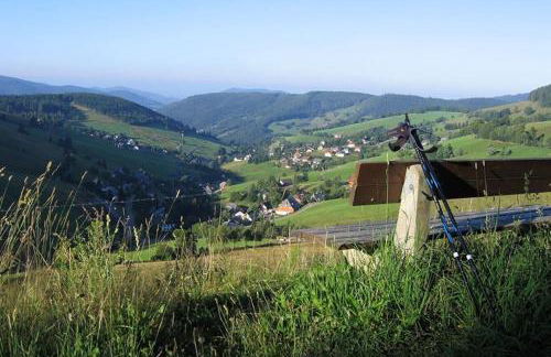 - Black4Rest Siebenschläfer Apartment Todtnauberg - - Foto 36