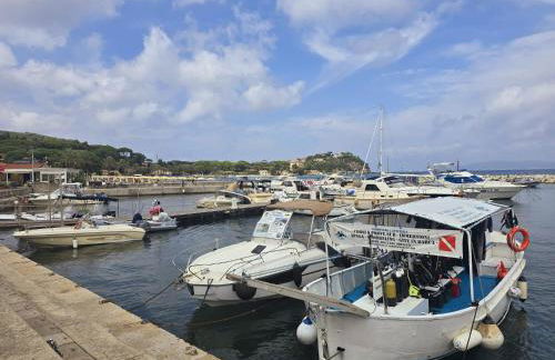 Appartamento Soliluna - Goelba - Foto 1