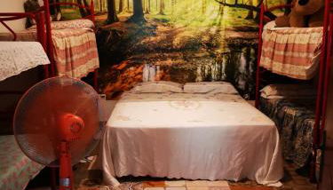 Pinnettu sardo casa di campagna in ecosistema insetti e animaletti simpatici in condivisione,Leggere attentamente Prima di prenotare - Foto 5