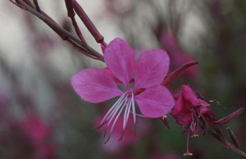 Villa La Corte - Foto 31