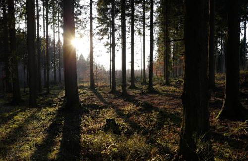 Ferienhaus "Einfach Schön" - Foto 32