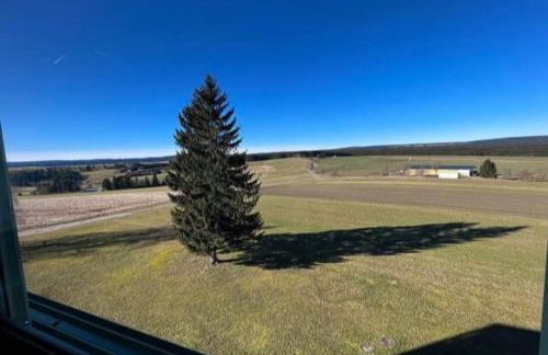 Apartment mit Grüner Aussicht im Schwarzwald - Foto 10