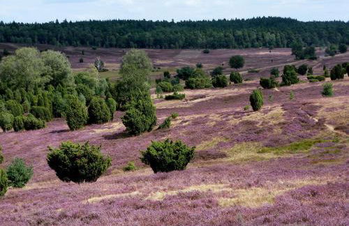 HYGGE HOMES - Apartment 'Lilla Lycka' - Foto 80