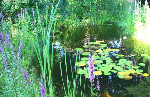 Ferienwohnung Radszys - Foto 28