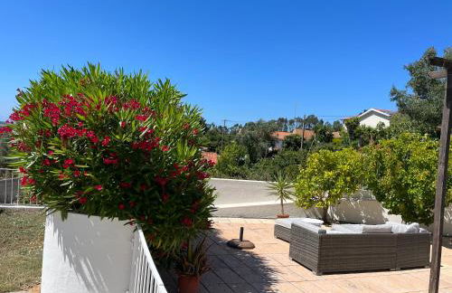 villa Lagoa - Foto 1