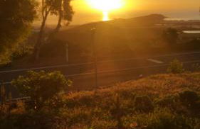 Flor de Loto -Finquita Lotusflower - Foto 39