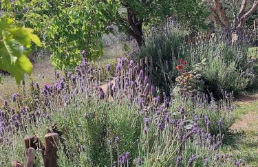 Villa Nafplion private pool garden bbq 5' sea - Foto 24