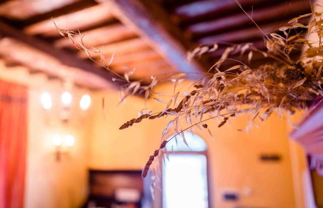 Agriturismo Bio Fattoria di Pietra - Foto 75