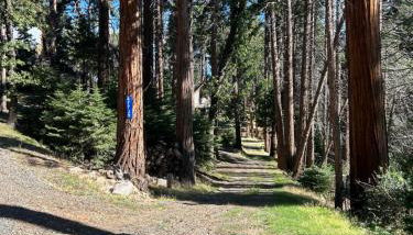 Sequoia National Forest Cabin-ATV Ride - Foto 4