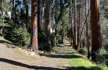Sequoia National Forest Cabin-ATV Ride - Foto 4
